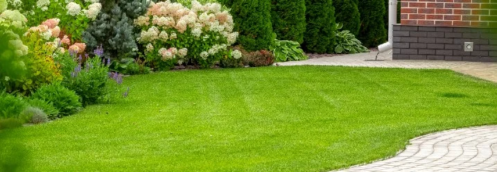 Gepflegter Garten mit einem gepflasterten Weg